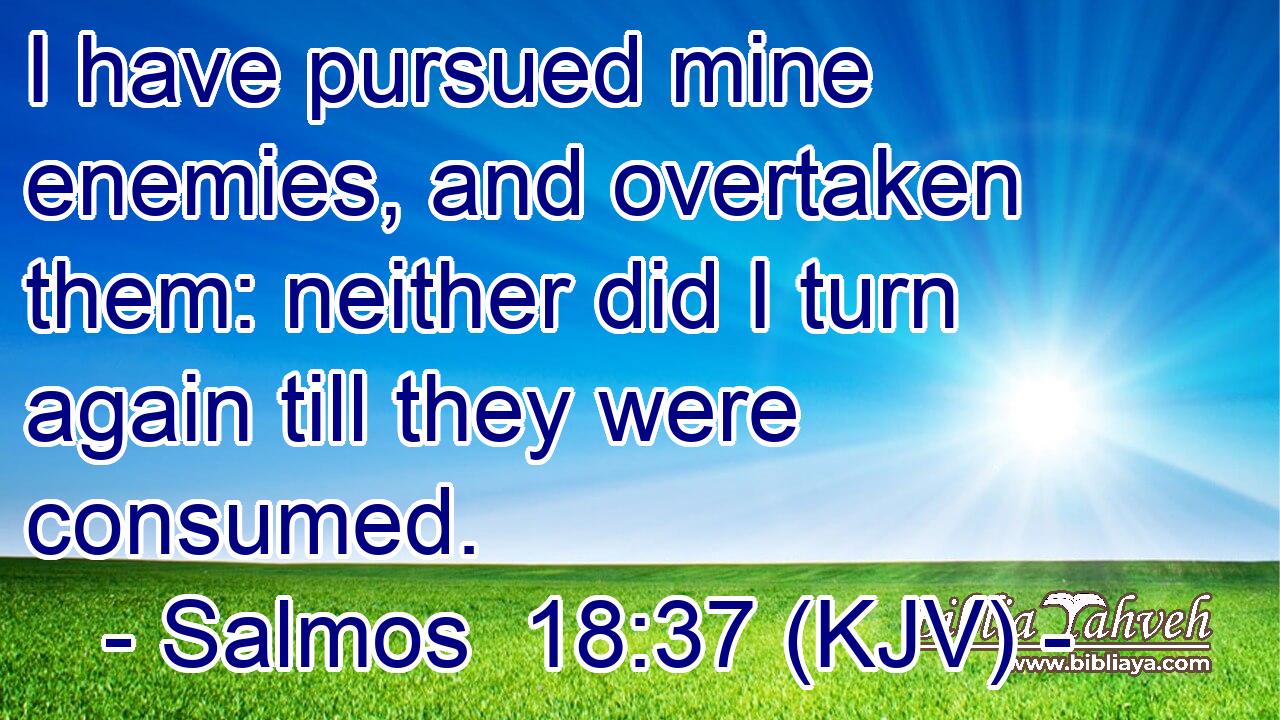 I have pursued mine enemies, and overtaken them: neither did I turn again till they were consumed.