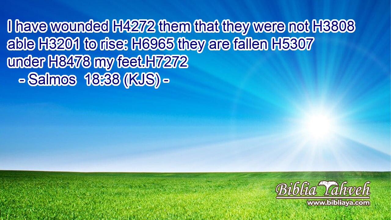 I have wounded H4272 them that they were not H3808 able H3201 to rise: H6965 they are fallen H5307 under H8478 my feet.H7272