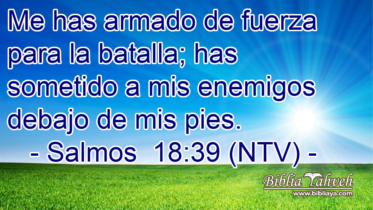 Me has armado de fuerza para la batalla; has sometido a mis enemigos debajo de mis pies.