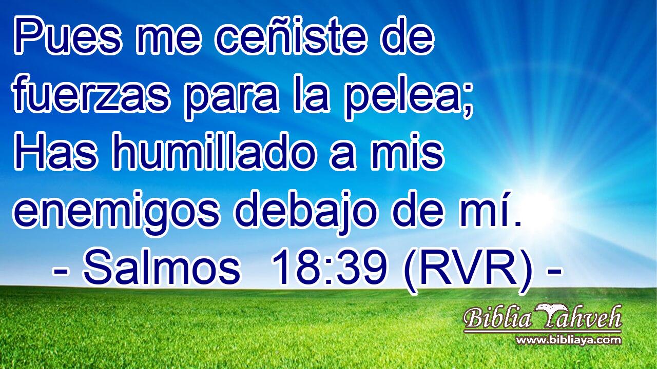 Pues me ceñiste de fuerzas para la pelea; Has humillado a mis enemigos debajo de mí.