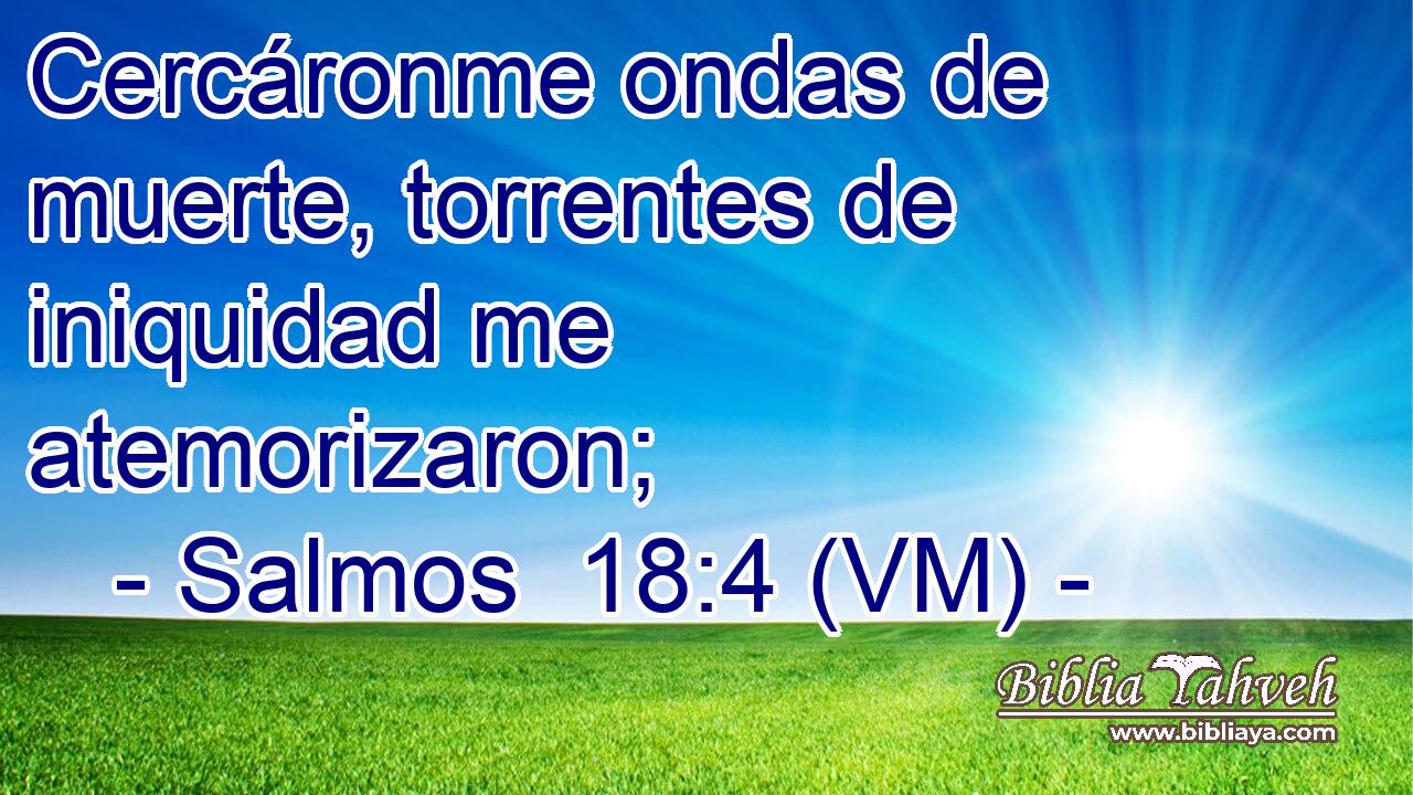  Cercáronme ondas de muerte, torrentes de iniquidad me atemorizaron; 