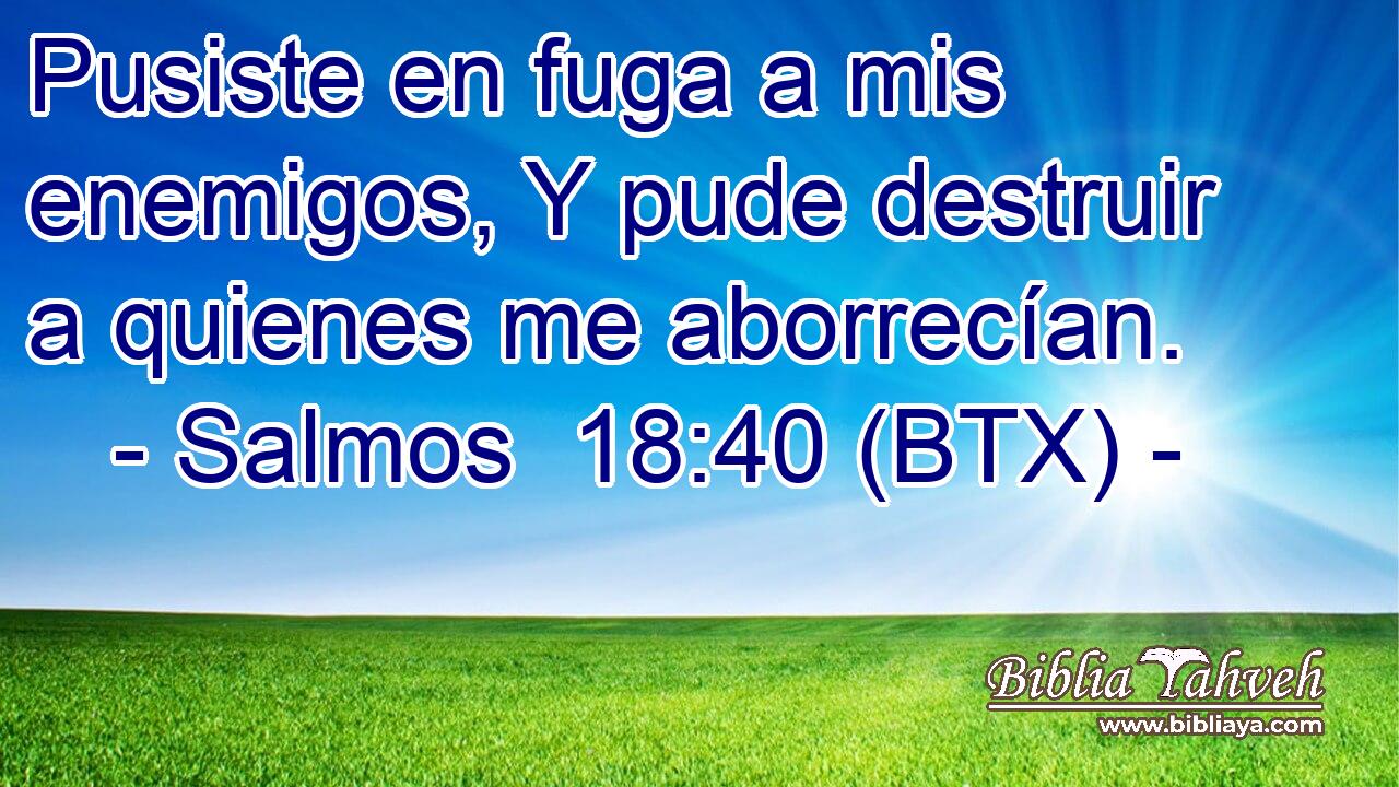 Pusiste en fuga a mis enemigos, Y pude destruir a quienes me aborrecían.