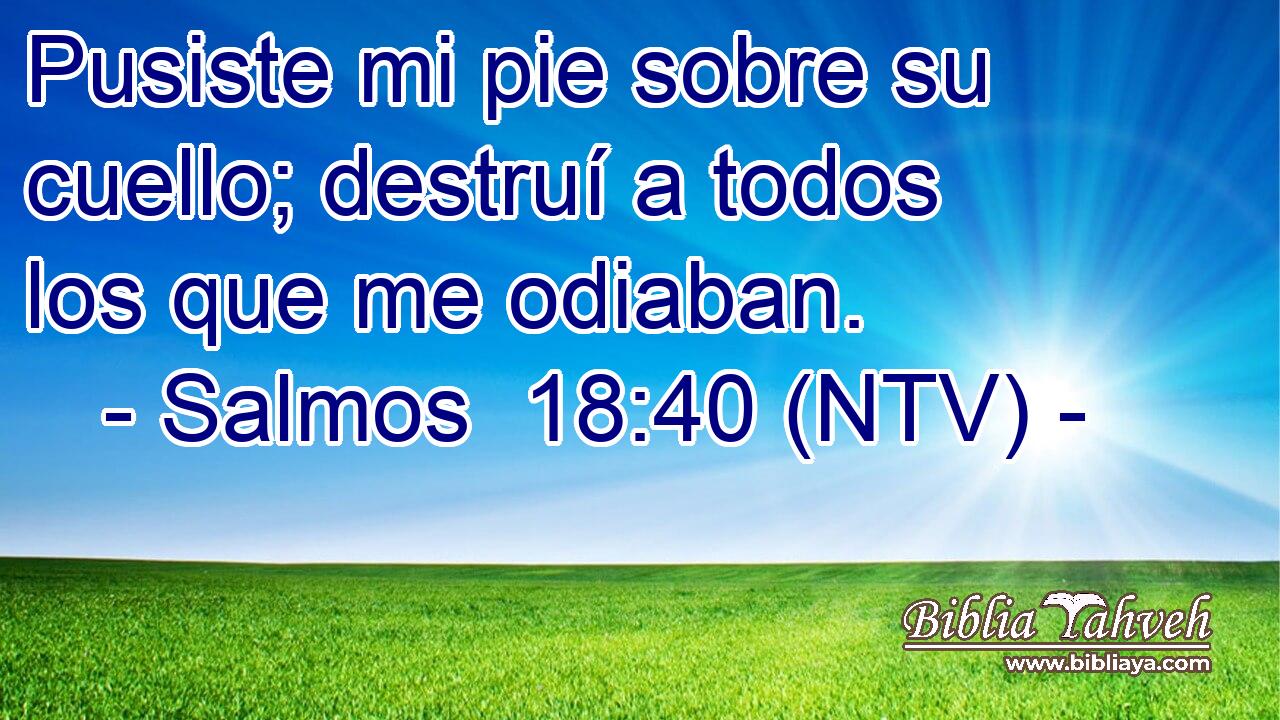 Pusiste mi pie sobre su cuello; destruí a todos los que me odiaban.