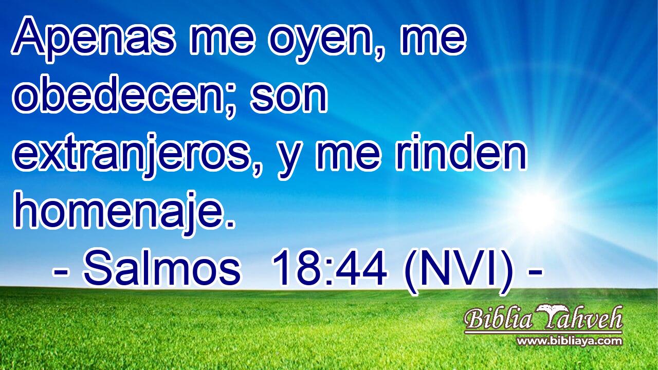  Apenas me oyen, me obedecen; son extranjeros, y me rinden homenaje. 