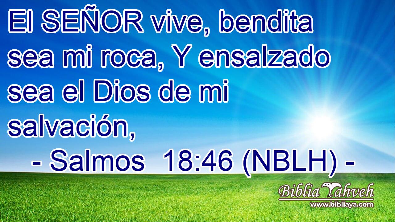  El SEÑOR vive, bendita sea mi roca, Y ensalzado sea el Dios de mi salvación, 