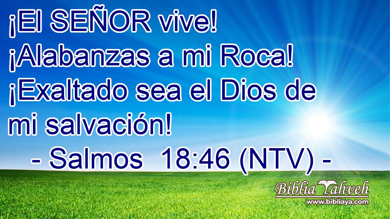 ¡El SEÑOR vive! ¡Alabanzas a mi Roca! ¡Exaltado sea el Dios de mi salvación!