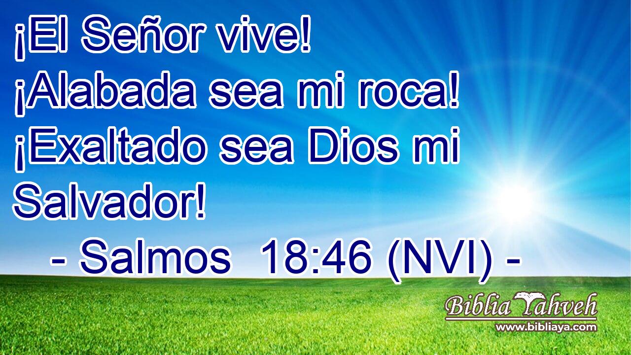  ¡El Señor vive! ¡Alabada sea mi roca! ¡Exaltado sea Dios mi Salvador! 