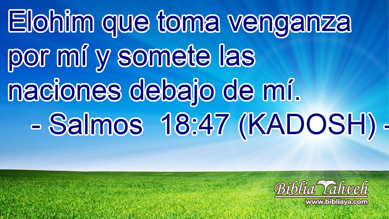  Elohim que toma venganza por mí y somete las naciones debajo de mí. 