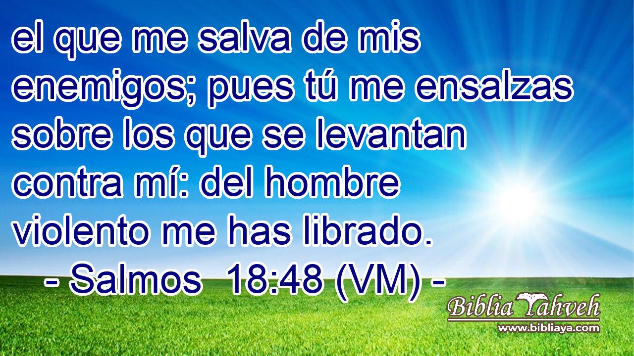  el que me salva de mis enemigos; pues tú me ensalzas sobre los que se levantan contra mí: del hombre violento me has librado. 