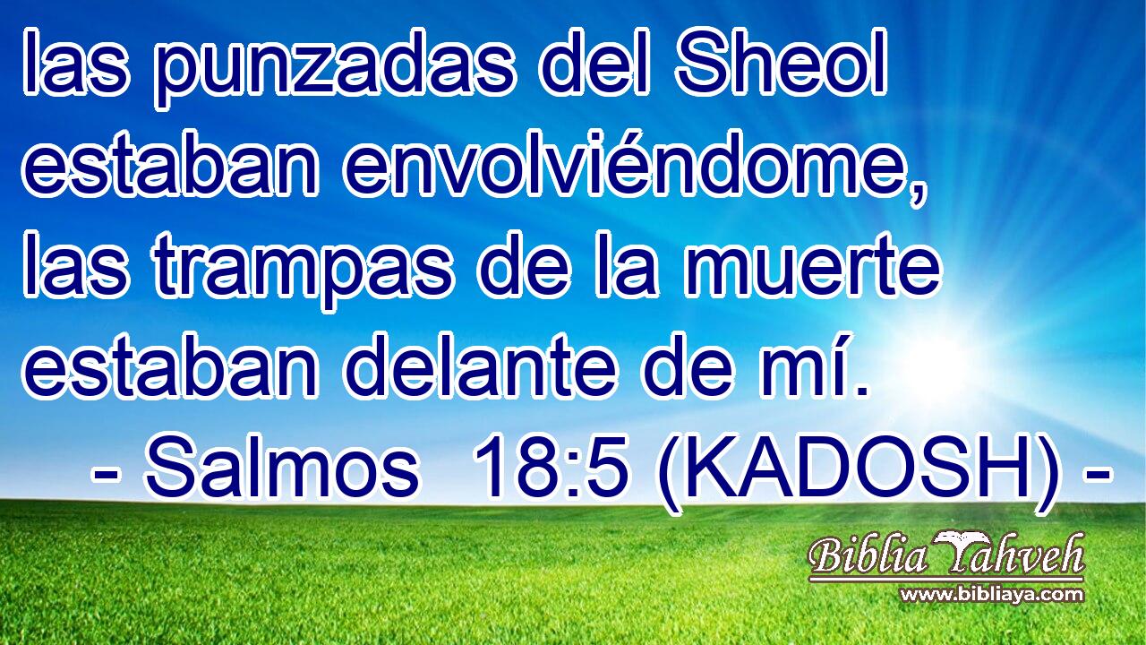  las punzadas del Sheol estaban envolviéndome, las trampas de la muerte estaban delante de mí. 