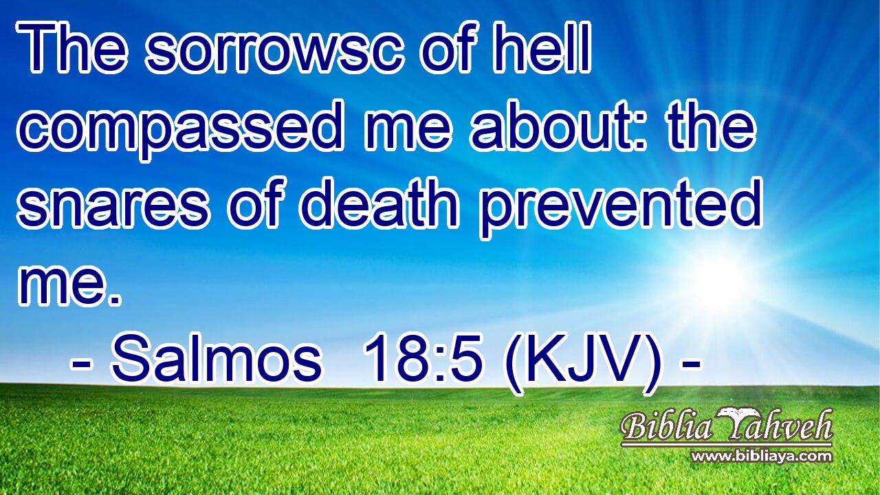 The sorrowsc of hell compassed me about: the snares of death prevented me.
