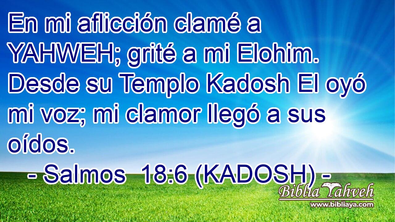  En mi aflicción clamé a YAHWEH; grité a mi Elohim. Desde su Templo Kadosh El oyó mi voz; mi clamor llegó a sus oídos. 