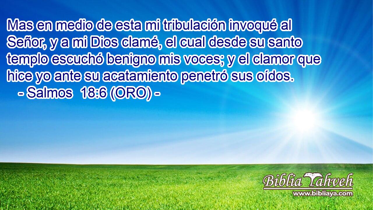  Mas en medio de esta mi tribulación invoqué al Señor, y a mi Dios clamé, el cual desde su santo templo escuchó benigno mis voces; y el clamor que hice yo ante su acatamiento penetró sus oídos. 