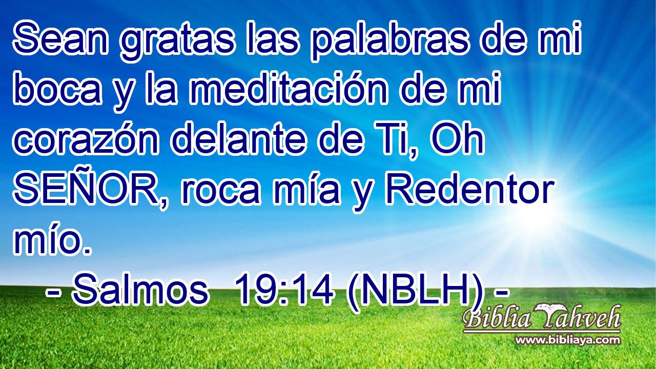  Sean gratas las palabras de mi boca y la meditación de mi corazón delante de Ti, Oh SEÑOR, roca mía y Redentor mío. 