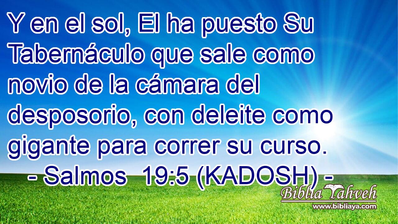  Y en el sol, El ha puesto Su Tabernáculo que sale como novio de la cámara del desposorio, con deleite como gigante para correr su curso. 