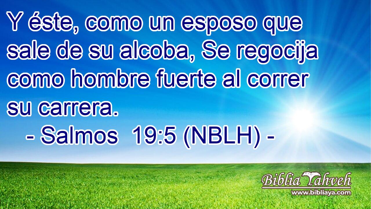  Y éste, como un esposo que sale de su alcoba, Se regocija como hombre fuerte al correr su carrera. 