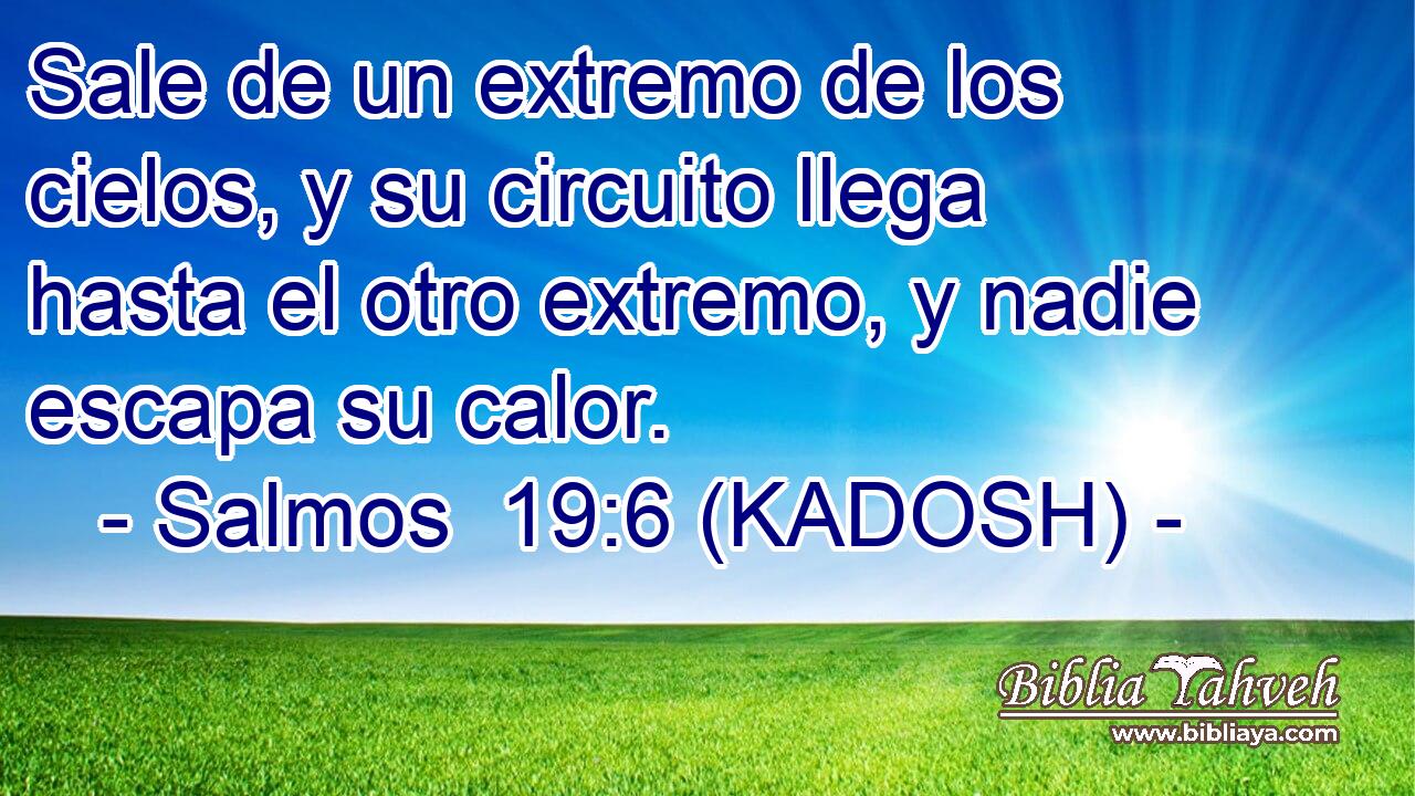  Sale de un extremo de los cielos, y su circuito llega hasta el otro extremo, y nadie escapa su calor. 