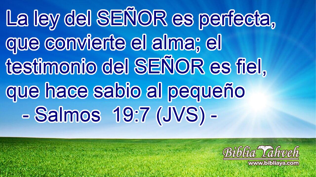 La ley del SEÑOR es perfecta, que convierte el alma; el testimonio del SEÑOR es fiel, que hace sabio al pequeño