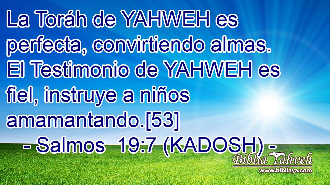  La Toráh de YAHWEH es perfecta, convirtiendo almas. El Testimonio de YAHWEH es fiel, instruye a niños amamantando.[53] 