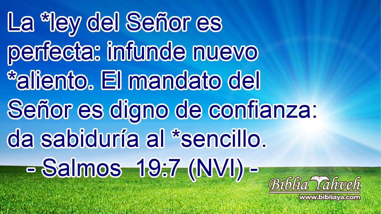  La *ley del Señor es perfecta: infunde nuevo *aliento. El mandato del Señor es digno de confianza: da sabiduría al *sencillo. 