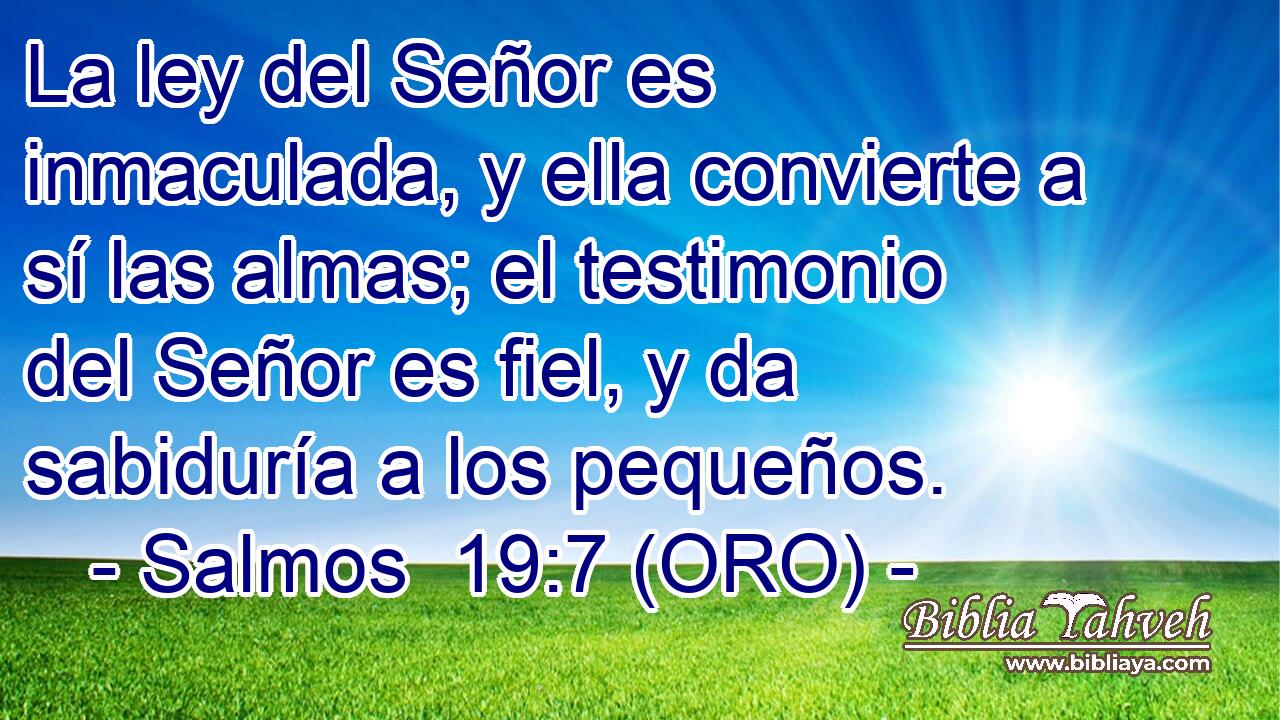  La ley del Señor es inmaculada, y ella convierte a sí las almas; el testimonio del Señor es fiel, y da sabiduría a los pequeños. 