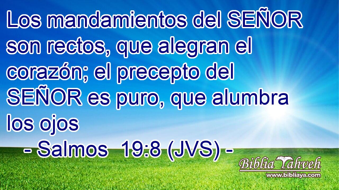 Los mandamientos del SEÑOR son rectos, que alegran el corazón; el precepto del SEÑOR es puro, que alumbra los ojos