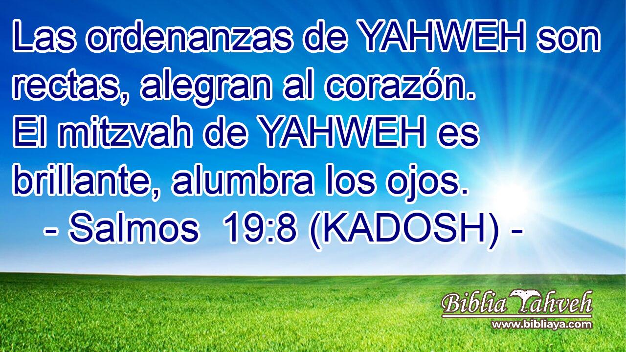  Las ordenanzas de YAHWEH son rectas, alegran al corazón. El mitzvah de YAHWEH es brillante, alumbra los ojos. 