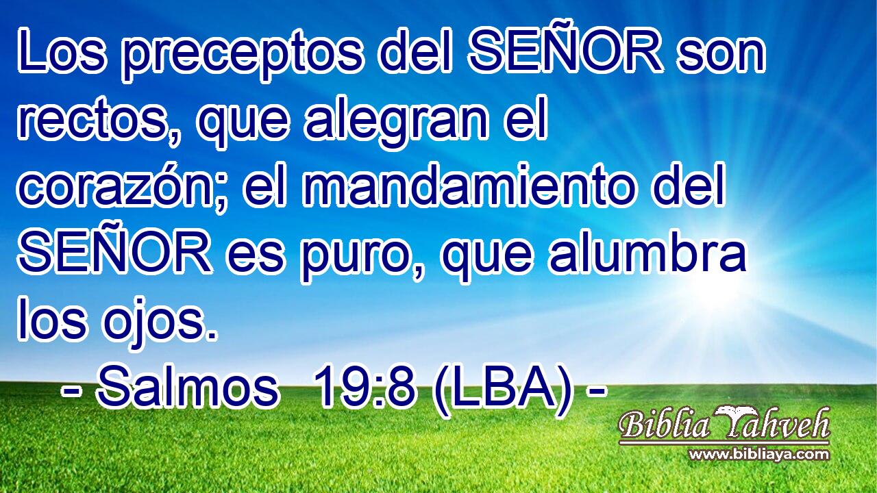 Los preceptos del SEÑOR son rectos, que alegran el corazón; el mandamiento del SEÑOR es puro, que alumbra los ojos.
