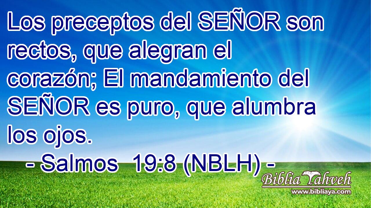  Los preceptos del SEÑOR son rectos, que alegran el corazón; El mandamiento del SEÑOR es puro, que alumbra los ojos. 