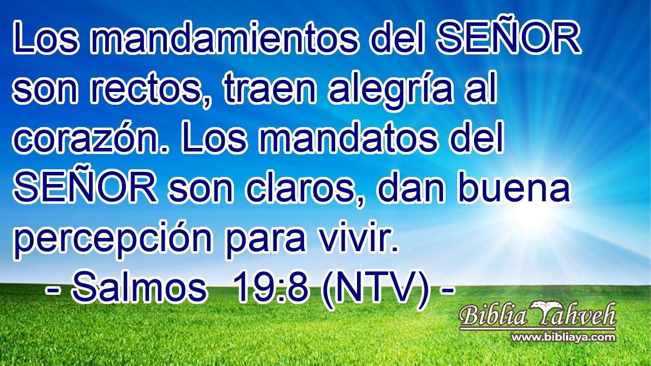 Los mandamientos del SEÑOR son rectos, traen alegría al corazón. Los mandatos del SEÑOR son claros, dan buena percepción para vivir.