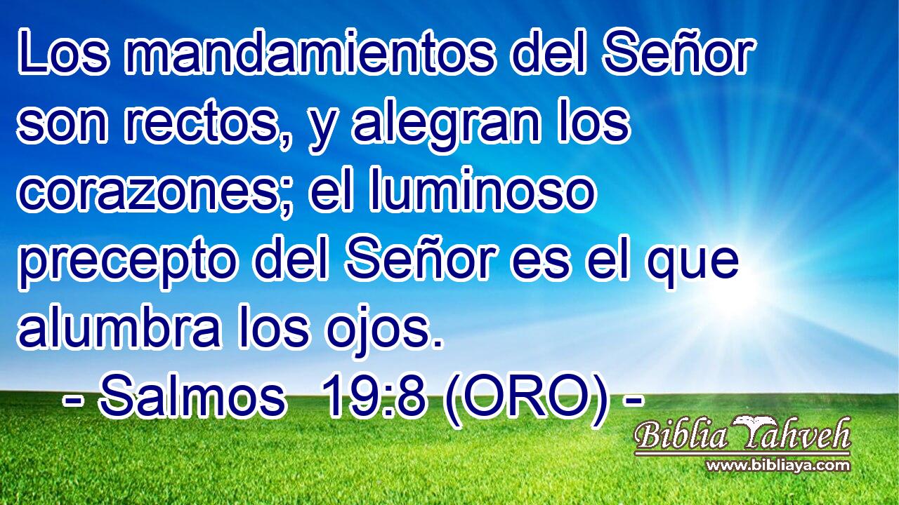  Los mandamientos del Señor son rectos, y alegran los corazones; el luminoso precepto del Señor es el que alumbra los ojos. 