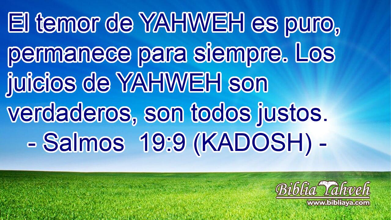  El temor de YAHWEH es puro, permanece para siempre. Los juicios de YAHWEH son verdaderos, son todos justos. 