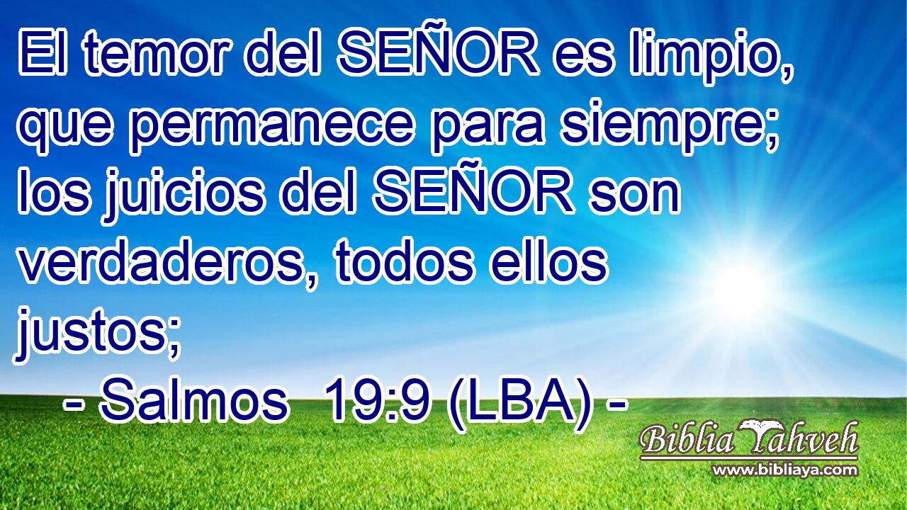 El temor del SEÑOR es limpio, que permanece para siempre; los juicios del SEÑOR son verdaderos, todos ellos justos;