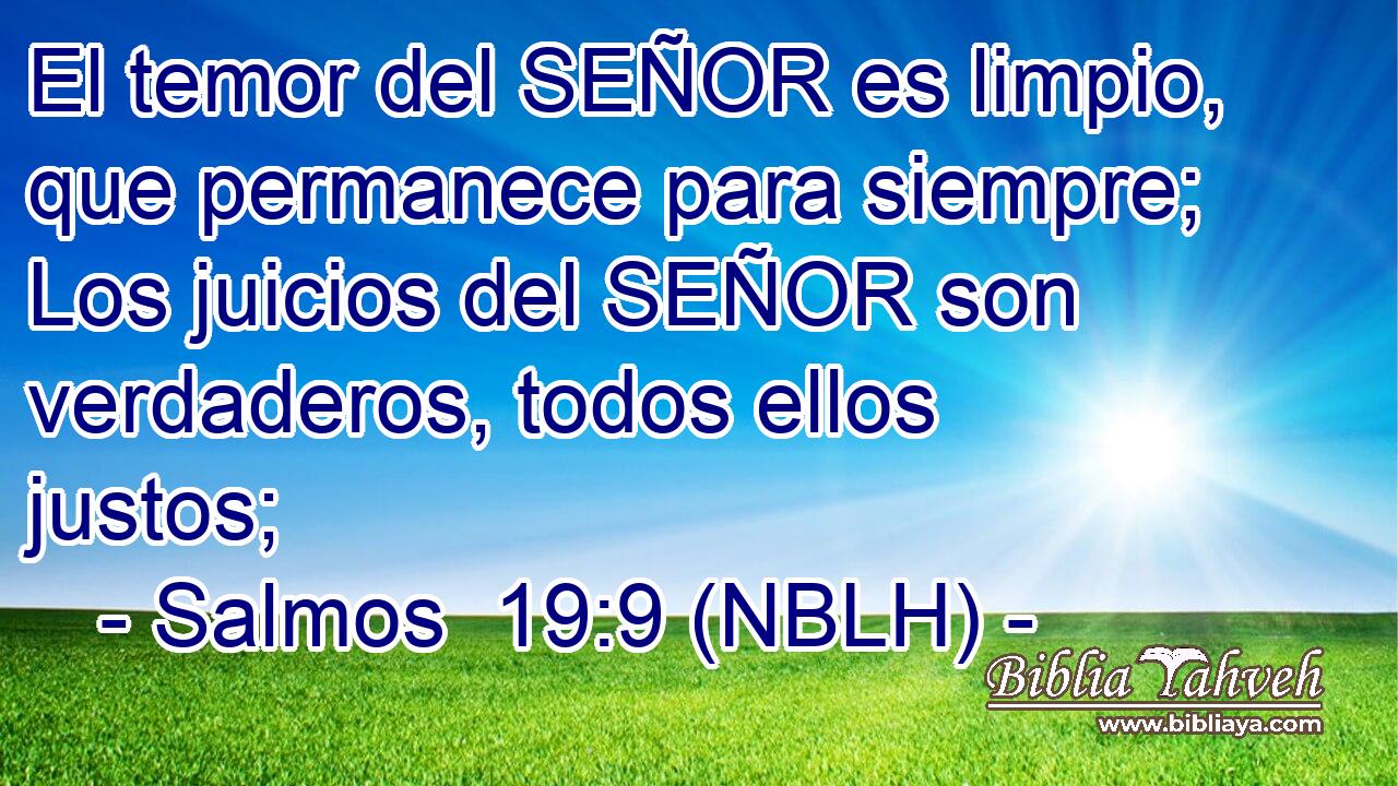  El temor del SEÑOR es limpio, que permanece para siempre; Los juicios del SEÑOR son verdaderos, todos ellos justos; 