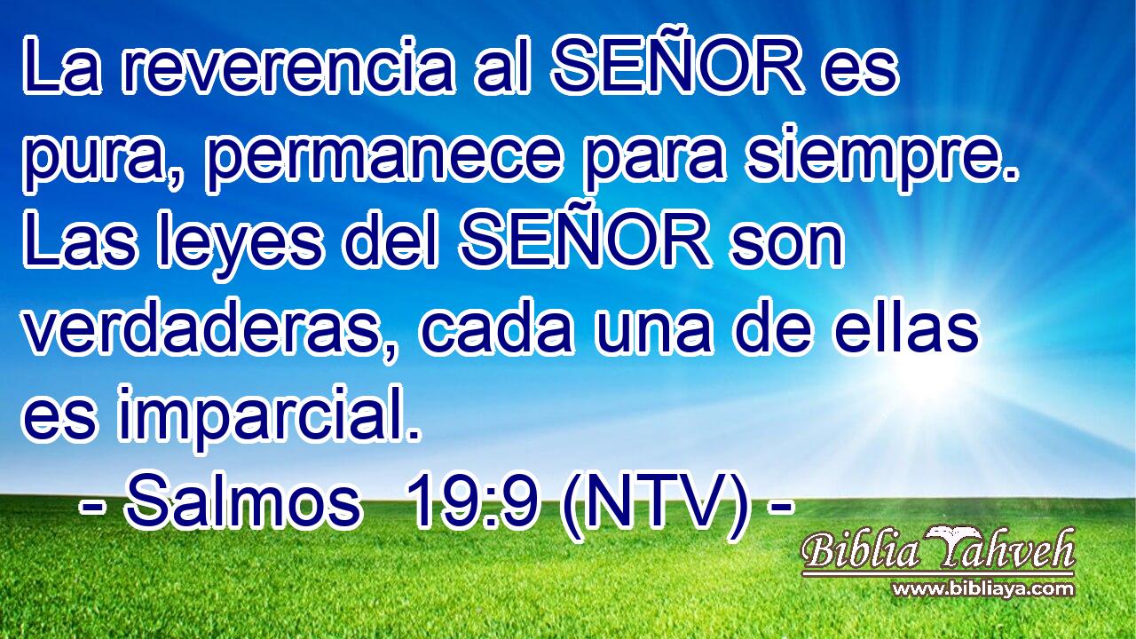 La reverencia al SEÑOR es pura, permanece para siempre. Las leyes del SEÑOR son verdaderas, cada una de ellas es imparcial.