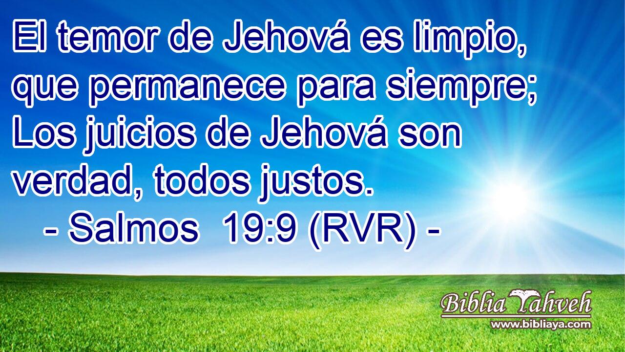 El temor de Jehová es limpio, que permanece para siempre; Los juicios de Jehová son verdad, todos justos.