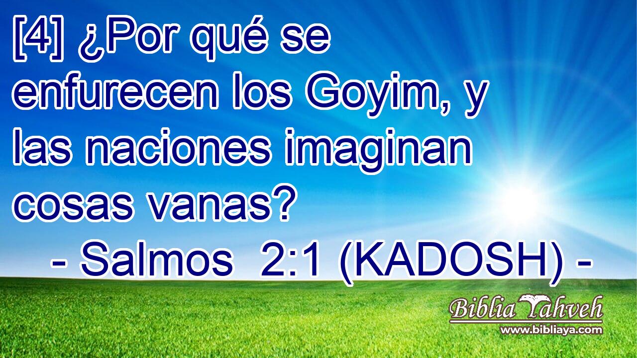  [4] ¿Por qué se enfurecen los Goyim, y las naciones imaginan cosas vanas? 