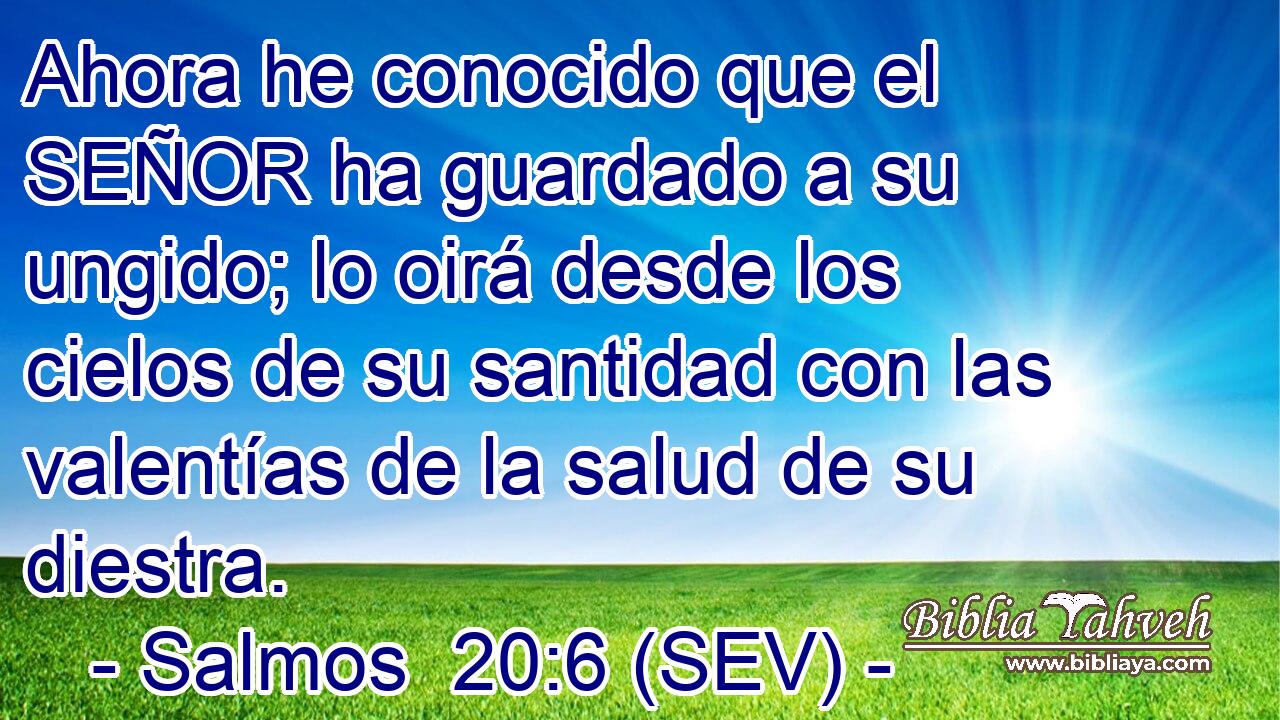 Ahora he conocido que el SEÑOR ha guardado a su ungido; lo oirá desde los cielos de su santidad con las valentías de la salud de su diestra.