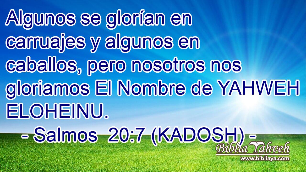  Algunos se glorían en carruajes y algunos en caballos, pero nosotros nos gloriamos El Nombre de YAHWEH ELOHEINU. 