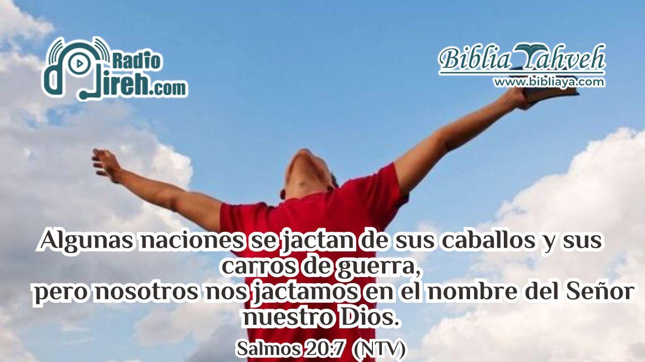 Algunas naciones se jactan de sus caballos y sus carros de guerra, pero nosotros nos jactamos en el nombre del SEÑOR nuestro Dios.