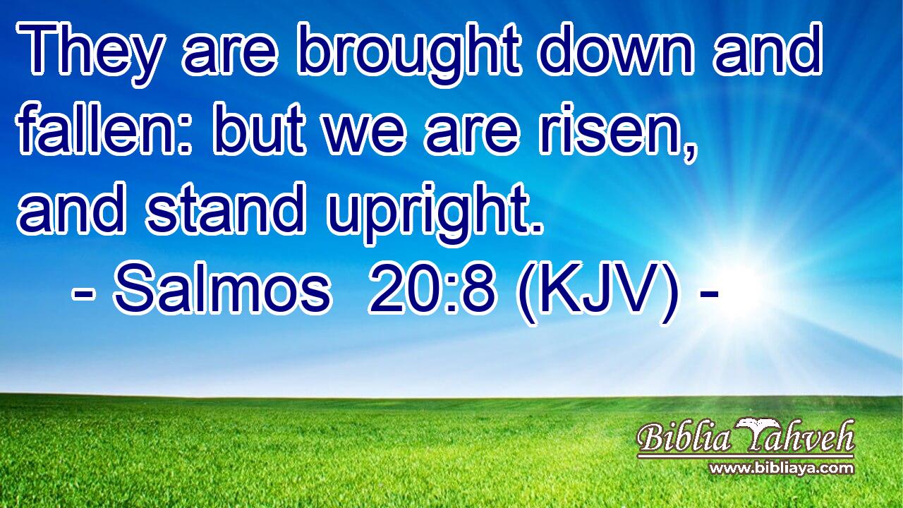 They are brought down and fallen: but we are risen, and stand upright.