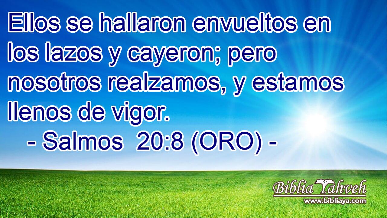  Ellos se hallaron envueltos en los lazos y cayeron; pero nosotros realzamos, y estamos llenos de vigor. 