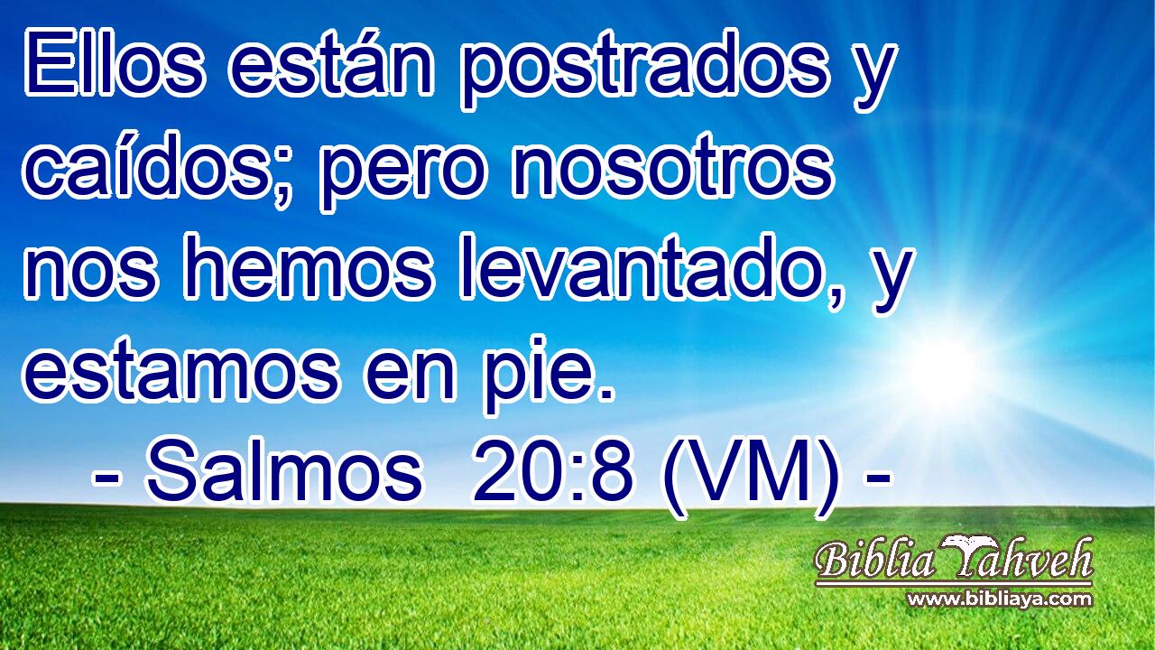  Ellos están postrados y caídos; pero nosotros nos hemos levantado, y estamos en pie. 