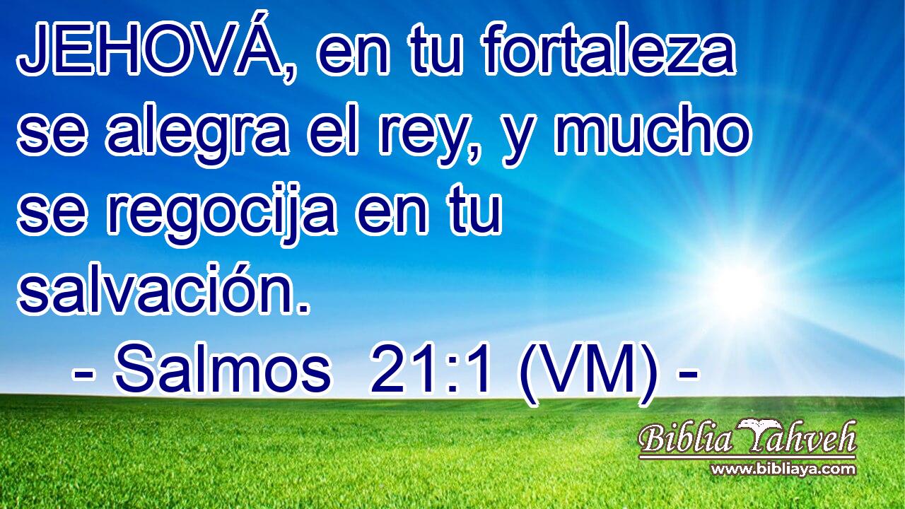  JEHOVÁ, en tu fortaleza se alegra el rey, y mucho se regocija en tu salvación. 