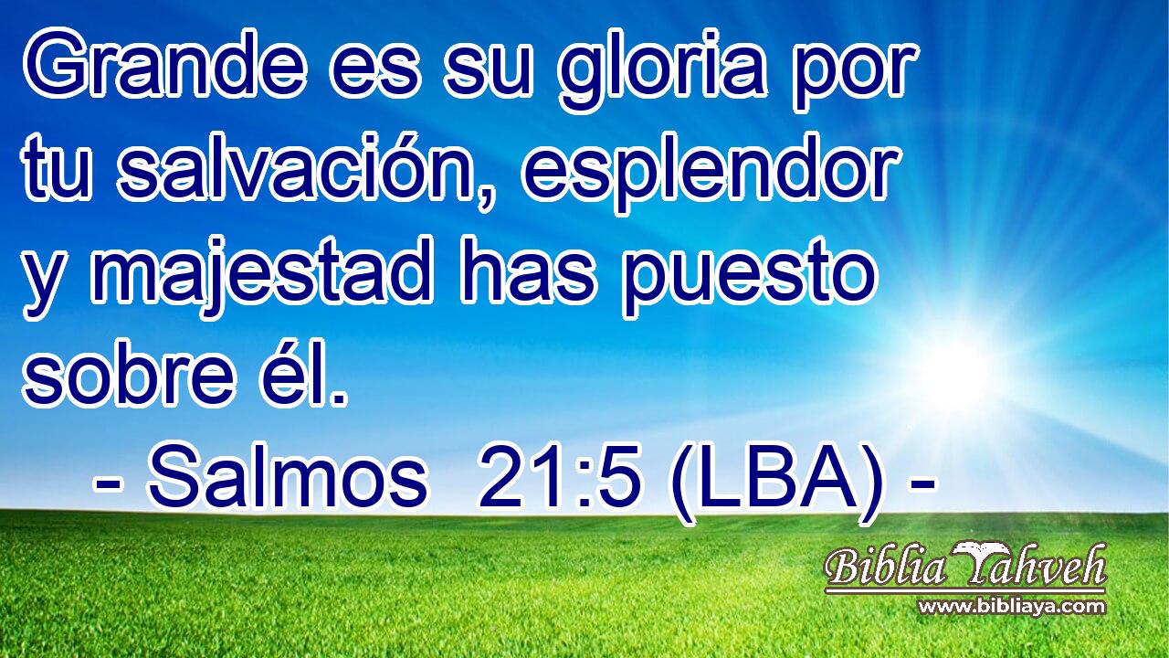 Grande es su gloria por tu salvación, esplendor y majestad has puesto sobre él.