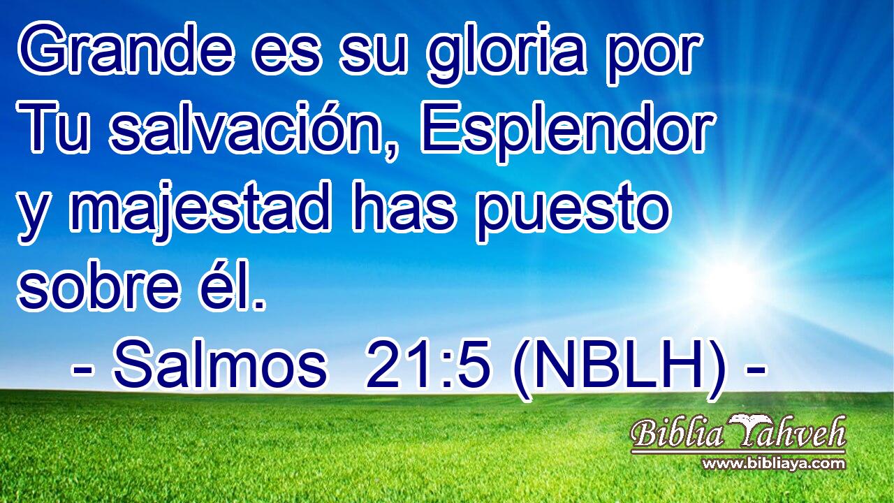  Grande es su gloria por Tu salvación, Esplendor y majestad has puesto sobre él. 
