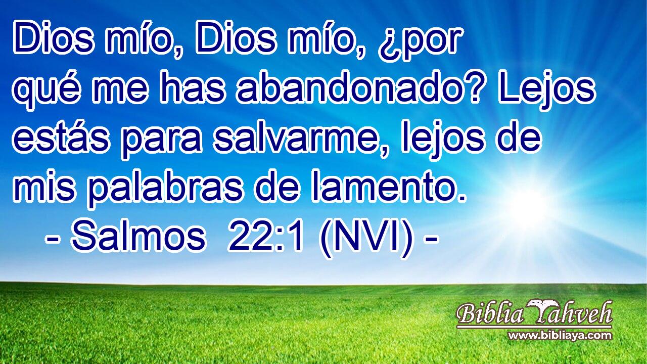 Dios mío, Dios mío, ¿por qué me has abandonado? Lejos estás para salvarme, lejos de mis palabras de lamento. 