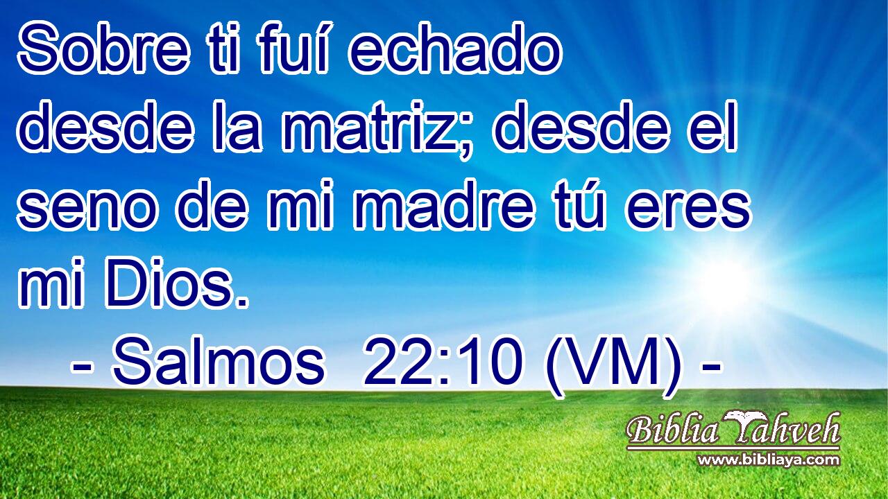  Sobre ti fuí echado desde la matriz; desde el seno de mi madre tú eres mi Dios. 