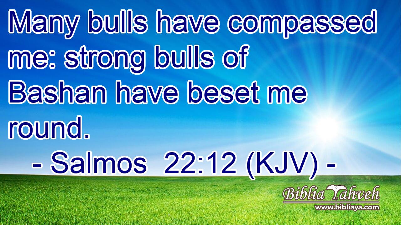 Many bulls have compassed me: strong bulls of Bashan have beset me round.