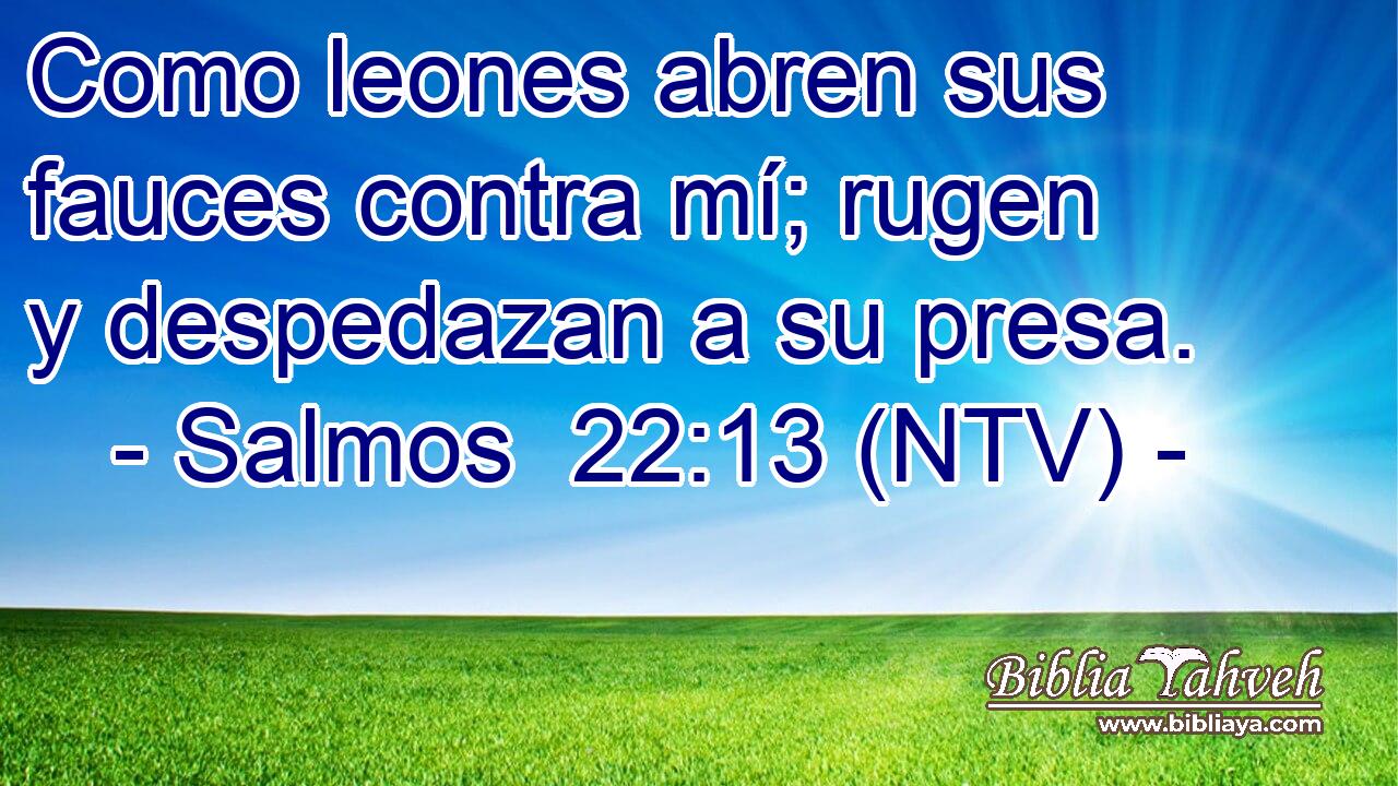 Como leones abren sus fauces contra mí; rugen y despedazan a su presa.